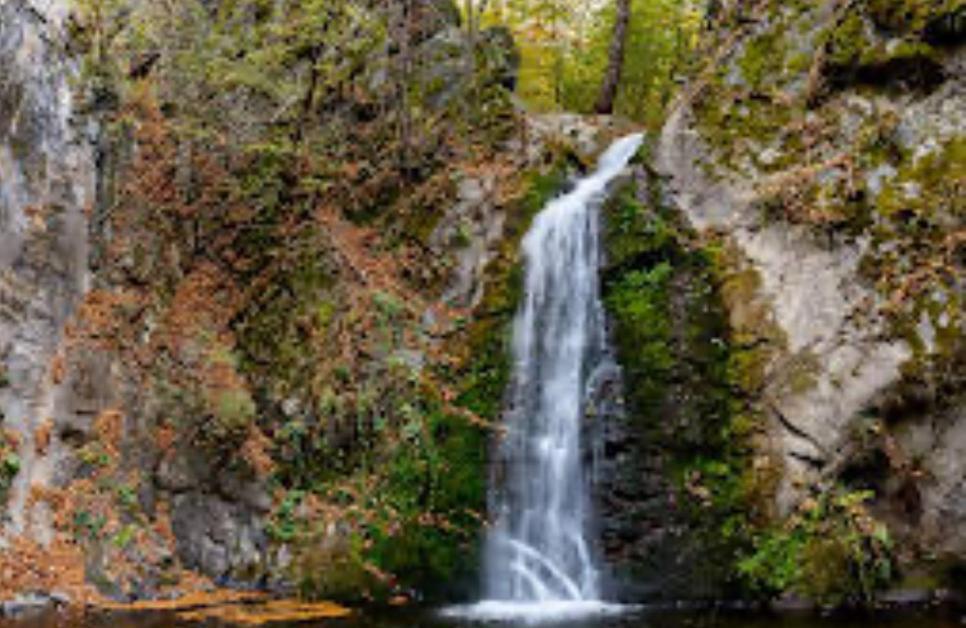 Отель La Gradina Mehadia Экстерьер фото