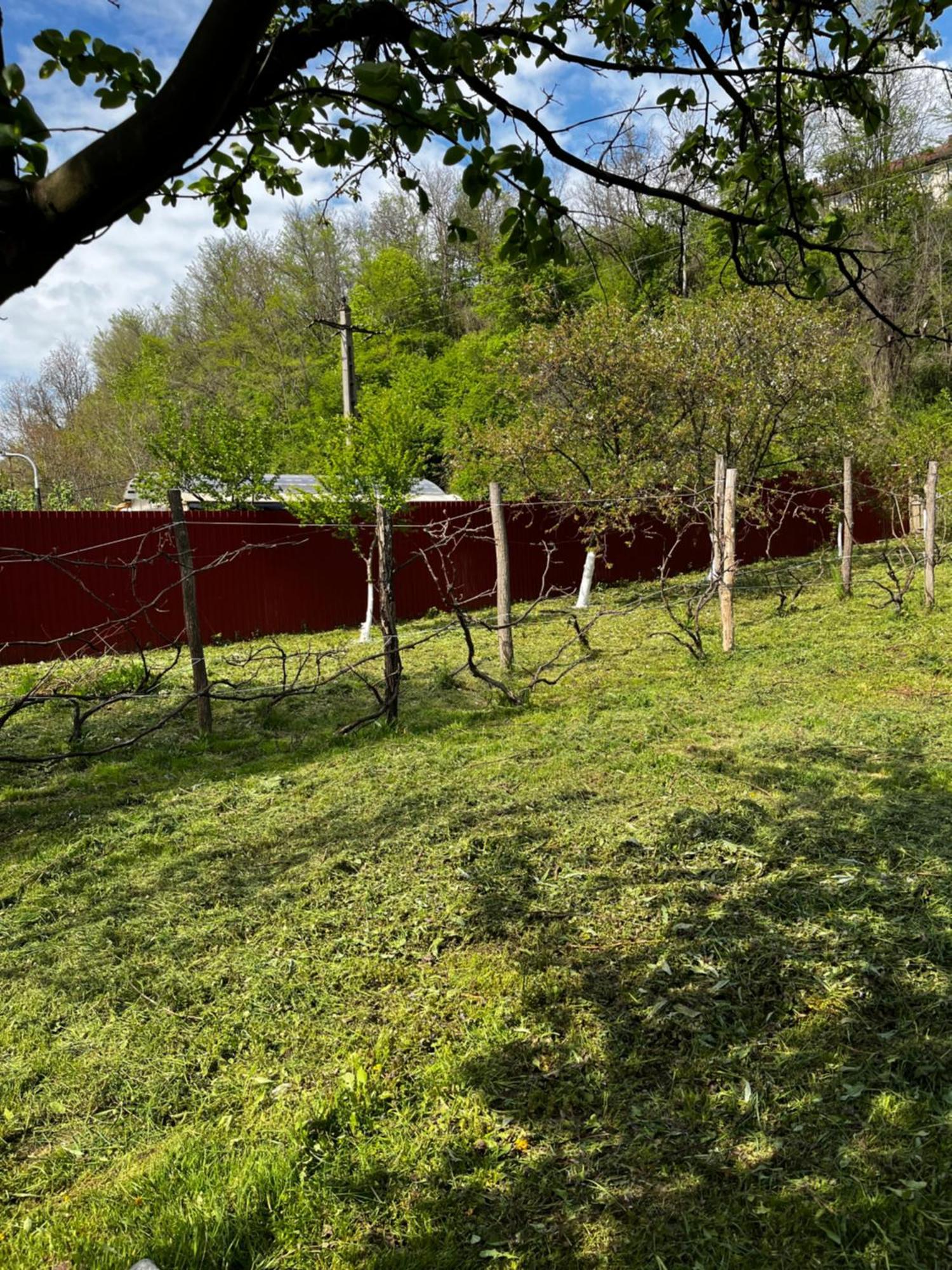 Отель La Gradina Mehadia Экстерьер фото