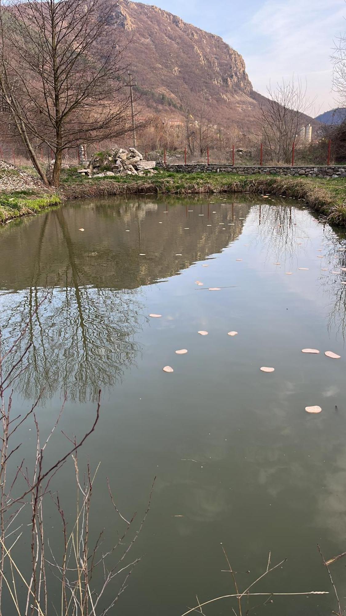 Отель La Gradina Mehadia Экстерьер фото