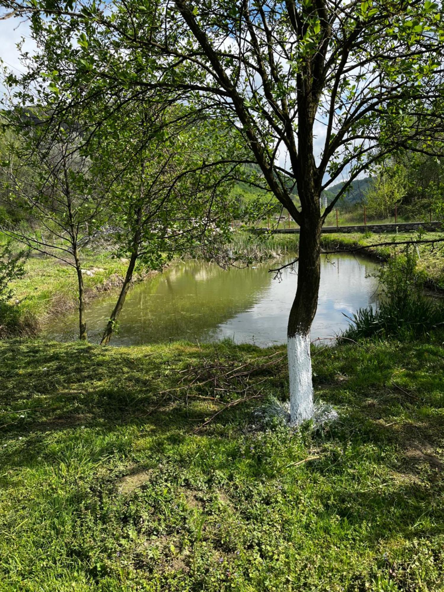 Отель La Gradina Mehadia Экстерьер фото